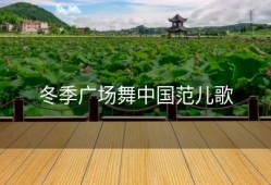 冬季广场舞中国范儿歌