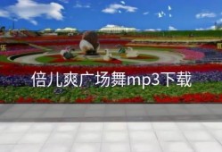 倍儿爽广场舞mp3下载