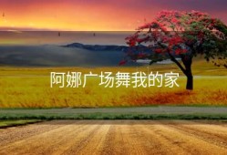 阿娜广场舞我的家