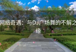 网络奇遇：与DJ广场舞的不解之缘