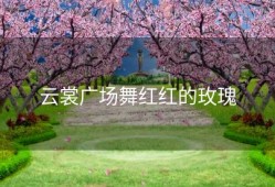 云裳广场舞红红的玫瑰