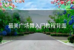 最美广场舞入门教程背面