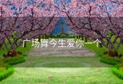 广场舞今生爱你一个