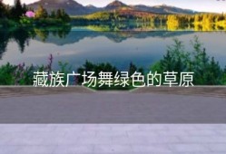 藏族广场舞绿色的草原