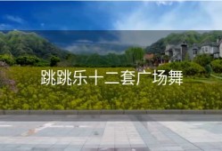 跳跳乐十二套广场舞