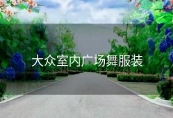 大众室内广场舞服装