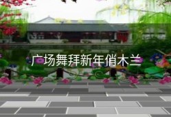 广场舞拜新年俏木兰