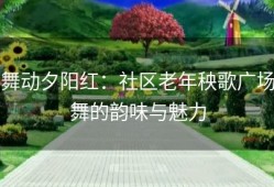 舞动夕阳红：社区老年秧歌广场舞的韵味与魅力