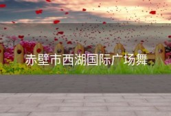 赤壁市西湖国际广场舞