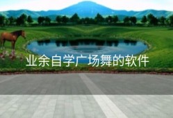 业余自学广场舞的软件