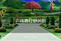广场舞狂野的新