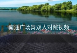 南通广场舞双人对跳视频