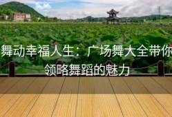 舞动幸福人生：广场舞大全带你领略舞蹈的魅力