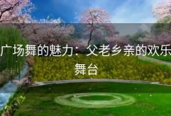 广场舞的魅力：父老乡亲的欢乐舞台