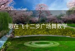 歌在飞十二步广场舞教学