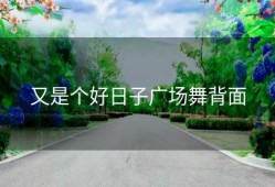 又是个好日子广场舞背面