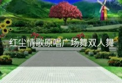 红尘情歌原唱广场舞双人舞