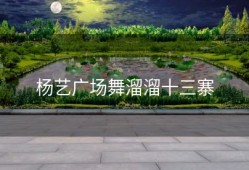 杨艺广场舞溜溜十三寨