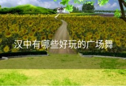 汉中有哪些好玩的广场舞