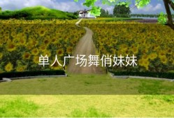 单人广场舞俏妹妹