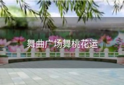 舞曲广场舞桃花运