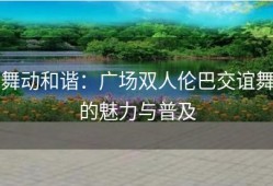 舞动和谐：广场双人伦巴交谊舞的魅力与普及