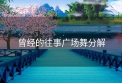 曾经的往事广场舞分解