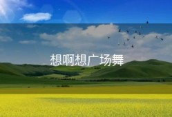 想啊想广场舞