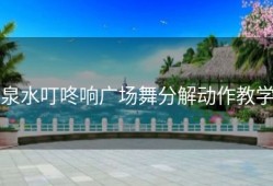 泉水叮咚响广场舞分解动作教学