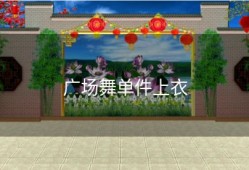 广场舞单件上衣