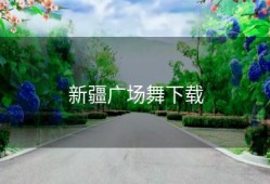 新疆广场舞下载