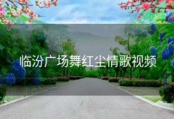 临汾广场舞红尘情歌视频