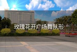 玫瑰花开广场舞队形