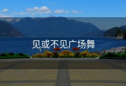 见或不见广场舞