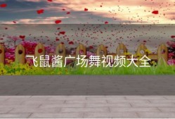 飞鼠酱广场舞视频大全