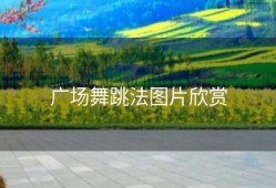 广场舞跳法图片欣赏