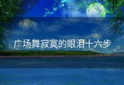 广场舞寂寞的眼泪十六步