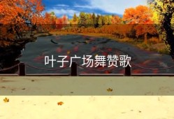 叶子广场舞赞歌