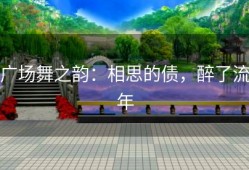广场舞之韵：相思的债，醉了流年