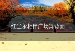 红尘永相伴广场舞背面