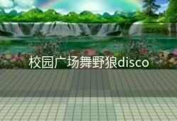 校园广场舞野狼disco