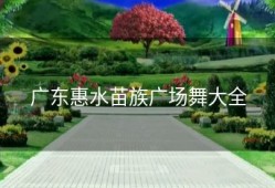 广东惠水苗族广场舞大全