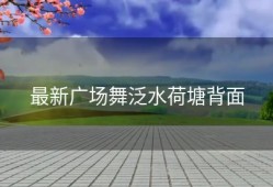 最新广场舞泛水荷塘背面