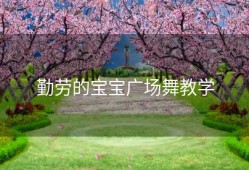 勤劳的宝宝广场舞教学