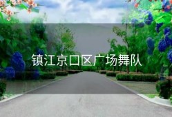 镇江京口区广场舞队