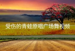 受伤的青蛙原唱广场舞视频