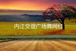 内江交谊广场舞网红