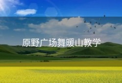 原野广场舞暖山教学