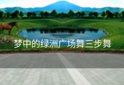 梦中的绿洲广场舞三步舞