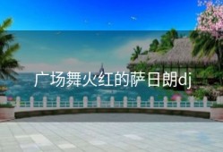 广场舞火红的萨日朗dj